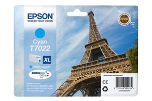 Epson Ink Cartridges